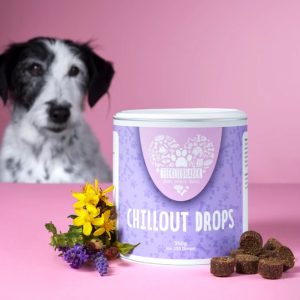 Tierliebhaber-gesund-natuerlich-kraeuter-pflanzlich-angst-stress-gewitter-feuerwerk-chillout drops