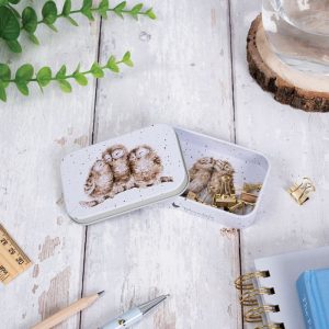 Wrendale Design-Hannah Dale-Dose-Blechdose-Minidose-Geschenk-Geschenkidee-liebevoll illustriert-Wichtelgeschenk-Adventskalender-Eulen-1