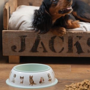 Wrendale Design-Hannah Dale-Napf-Hundenapf-illustriert-4