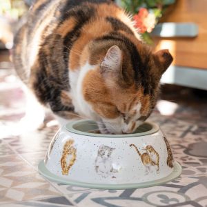 Fressnapf - Napf - Wrendale Design - Katze - grün- mushroom