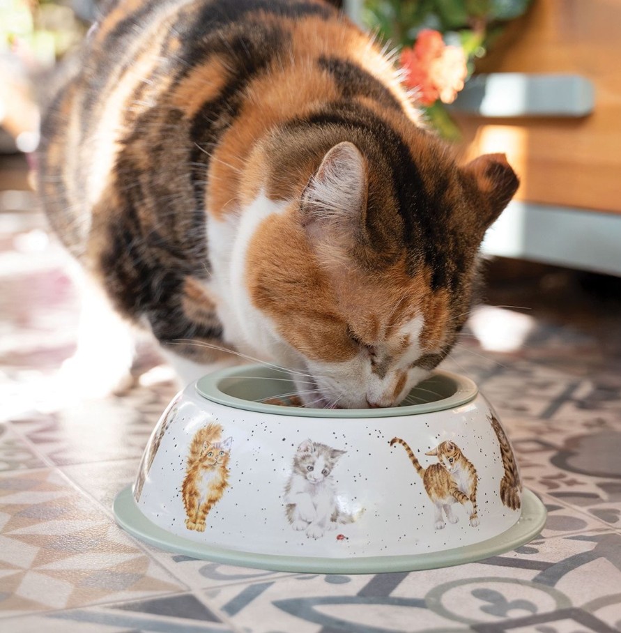 Fressnapf - Napf - Wrendale Design - Katze - grün- mushroom