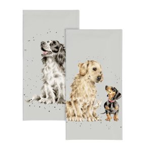 Wrendale Design-Hannah Dale-liebevoll illustriert-Geschenk-Wichtelgeschenk-Adventskalender-Erkaeltung-Schnupfen-Nastuch-Taschentuch-Dacke-Spaniel-Golden Retriever-First Dates