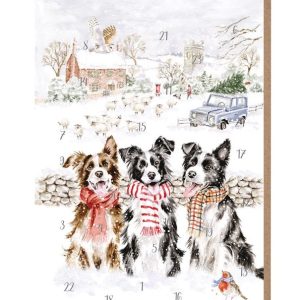 Wrendale Design-Pfoetli Shop-Hannah Dale-Adventskalender-illustriert-Hund-Border Collie-Karte