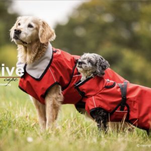 active-cape-light-header-Hundemantel-Regenabweisend-Windabweisend-Wetterfest-wärmend-rot