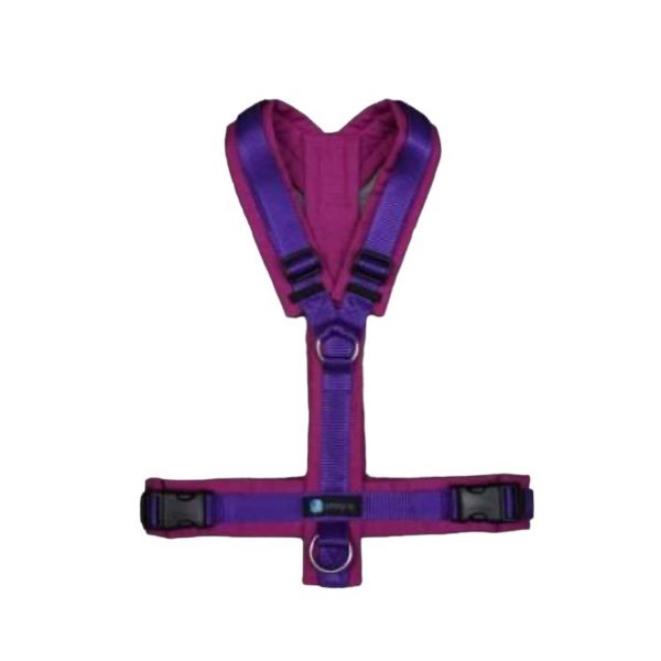 AnnyX Fun ergonomisches Brustgeschirr Hundegeschirr - Sonderfarben – Bild 6
