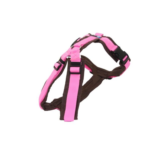 AnnyX Fun ergonomisches Brustgeschirr Hundegeschirr - Sonderfarben – Bild 3