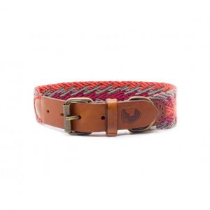 Collar-Peruvian-Buddys-Hundehalsband-geflochten