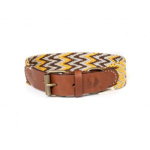 collar-peruvian-gold-gelfochten-Hundehalsband-Halsband-Bio-Rindsleder-Stylish