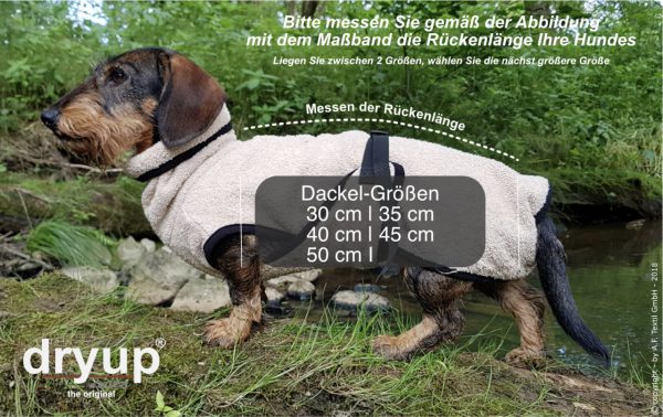 DryUp cape-Dackel-Sausage Dog-beige-Bademantel-Mantel-Trocknungsmantel-spezielle Groesse1