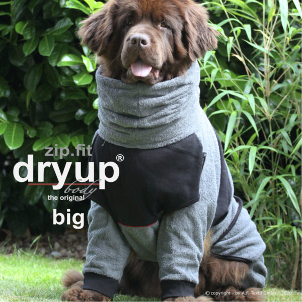 dryup-body-zip-fit-Trocknungsmantel-Hundebademantel-Hund-Auto-grey-big