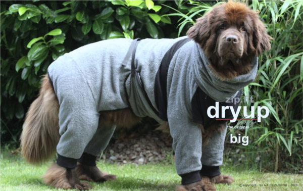 dryup-body-zip-fit-Trocknungsmantel-Hundebademantel-Hund-Auto-grey-big