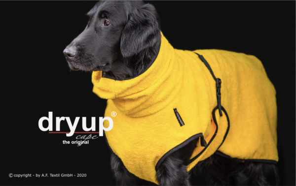 dryup-cape-yellow-together-Hundebademantel-Bademantel-Frotee-gelb-Hundesport-Hund-saugfaehig1