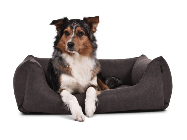 hundebett-worldcollection-comfort-visco-Hundetraueme-Hund-schlafen-braun