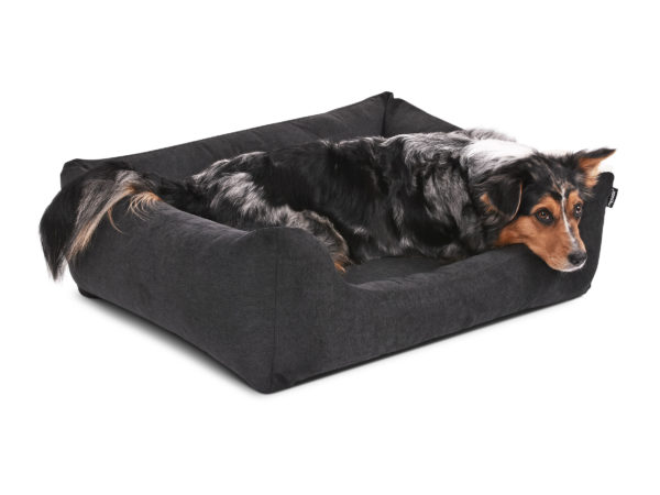 hundebett-worldcollection-comfort-visco-Hundetraueme-Hund-schlafen-grau