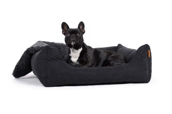 hundebett-worldcollection-comfort-visco-Hundetraueme-Hund-schlafen-schwarz