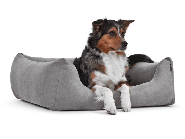 hundebett-worldcollection-comfort-visco-Hundetraueme-Hund-schlafen-silber