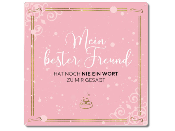 metallschild-20x20cm-mein-bester-freund-hat-noch-nie-ein-wort-zu-mir-gesagt-hundeschild