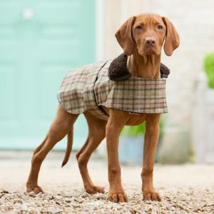 Mantel-Hundemantel-Mutts-and-hounds-balmoral-Tweed-bequem-kuschlig-warm-stylisch
