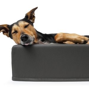 padsforall-mypado-hund-hundebett-harko-premium-kunstleder-schaumstoff-waschbar-abziehbar-viscoelastische Liegeflaeche-grau