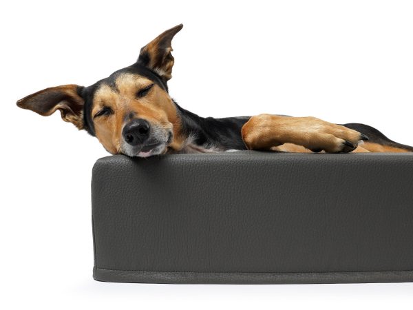 padsforall-mypado-hund-hundebett-harko-premium-kunstleder-schaumstoff-waschbar-abziehbar-viscoelastische Liegeflaeche-grau